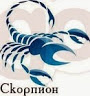 Скорпион11