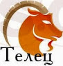 Телец11