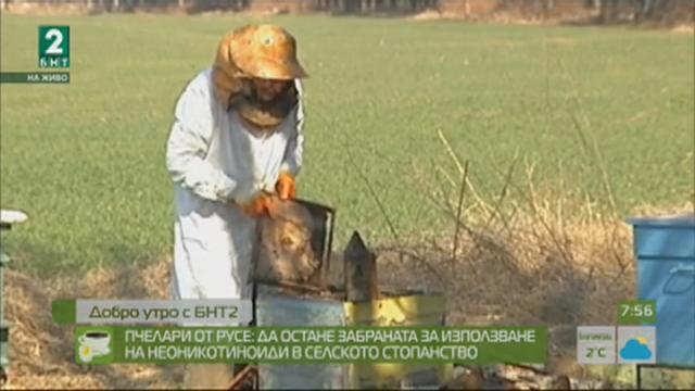 Пчелари от Русе: Да остане забраната за използване на неоникотиноиди в селското стопанство