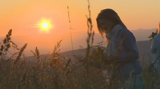 bulgaria marks enyo’s day herbs half