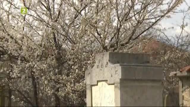 Военни паметници-чешми в Петричко