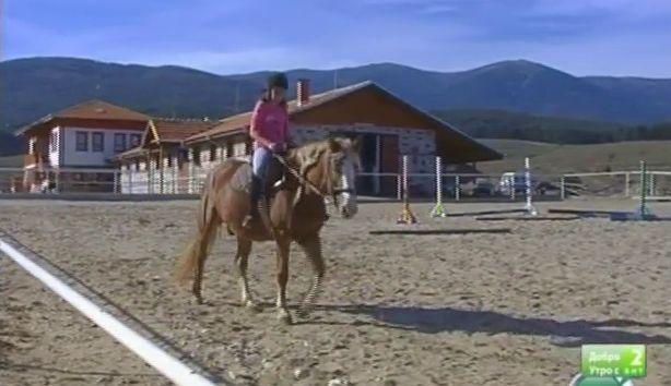 Първи уроци за любителите на конната езда и къде в Югозападна България има конни бази