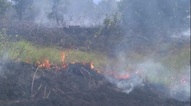 fire broke out near bulgaria’s rila monastery