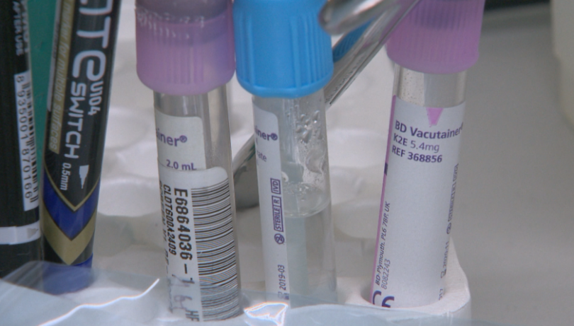 total 894 coronavirus cases confirmed bulgaria april