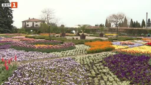 year’s ‘tulip parade’ balchik botanical garden online