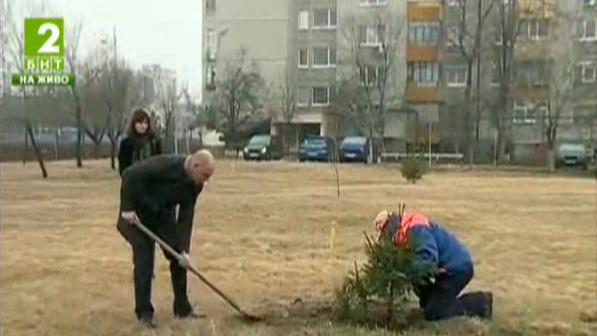 Засаждат 20 коледни дървета в район Тракия в Пловдив