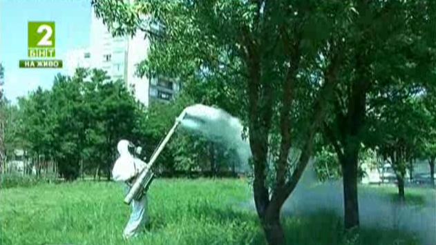 Възобновяват пръсканията срещу комари в Пловдив