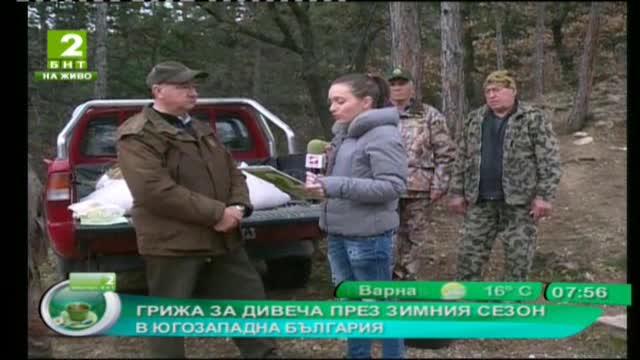 Грижа за дивеча през зимния сезон в Югозападна България