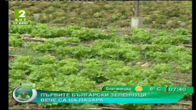 Първите български зеленчуци вече са на пазара