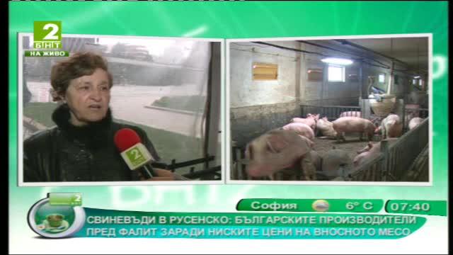 Свиневъди в Русенско: Българските производители пред фалит заради ниски цени на вносно месо
