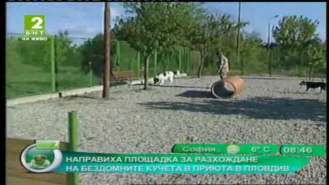 Направиха площадка за разхождане на бездомните кучета в приюта в Пловдив