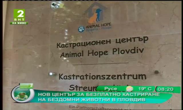 Нов център за безплатно кастриране на бездомни животни в Пловдив