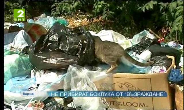 Не прибират боклука от варненския квартал “Възраждане”