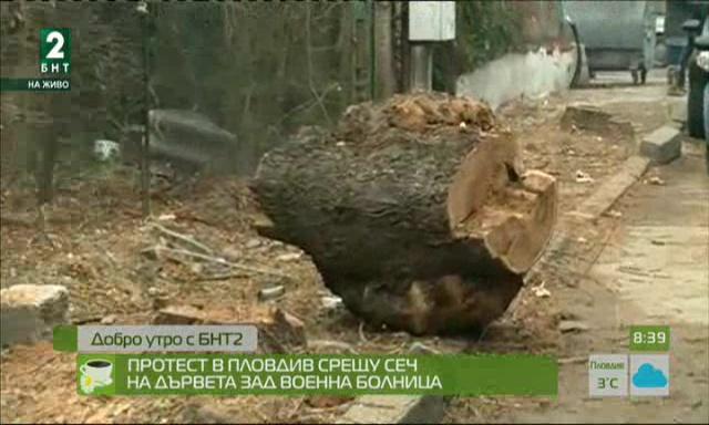 Протест в Пловдив срещу сеч на дървета зад Военна болница
