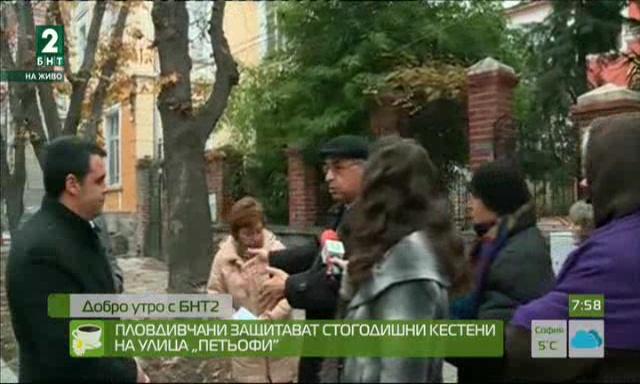 Пловдивчани защитават стогодишни кестени на улица „Петьофи”