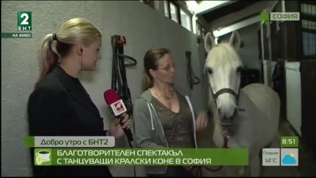 Благотворителен спектакъл с танцуващи кралски коне в София