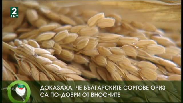 Качествата на българския ориз