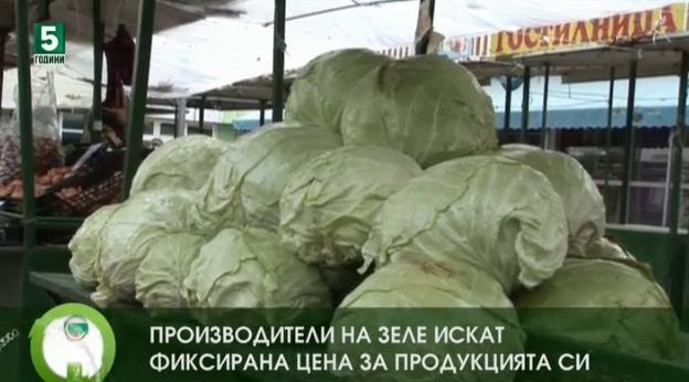 Производители на зеле искат фиксирана цена за продукцията си