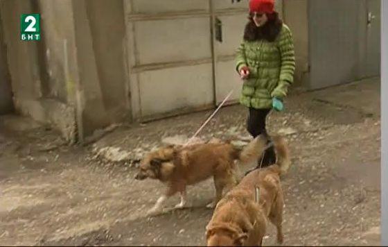 Жена от Русе от години спасява бездомни животни