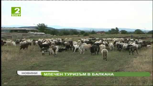 Млечен туризъм в Балкана