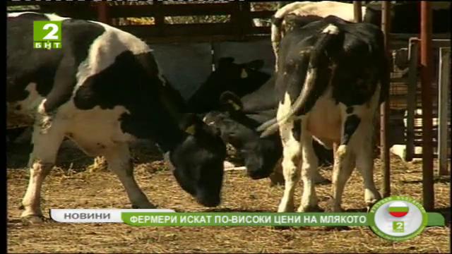 Фермери искат по-високи цени на млякото