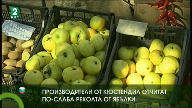 Производители от Кюстендил очакват по-слаба реколта от ябълки