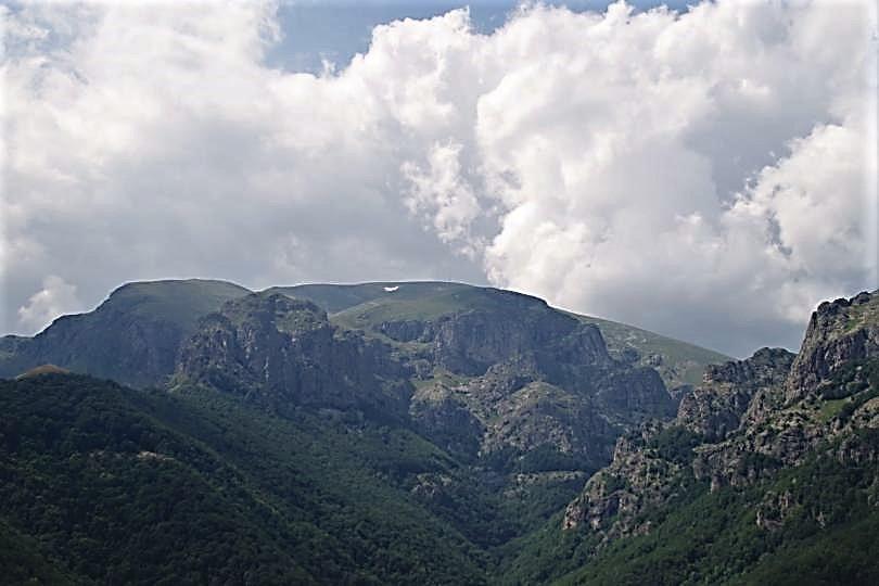 Bulgarian Primeval Beech Forests in “Central Balkan” Added to UNESCO List