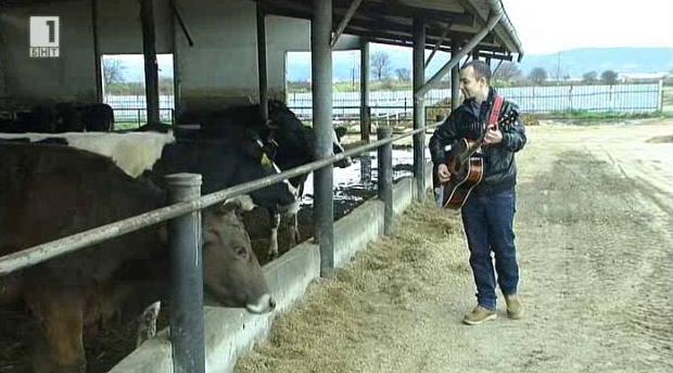 За кравите, баладите и китарата на Миро
