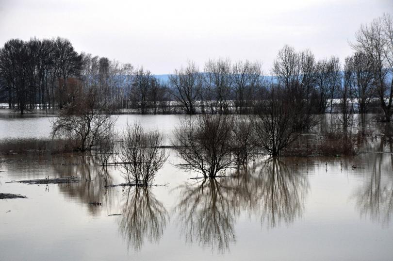 environment minister contamination found water bregovo