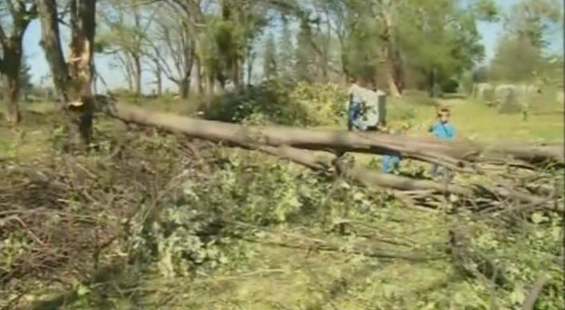 five villages rousse area without electricity after storm downs power lines