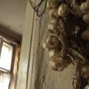 снимка 6 Духове в старите къщи на София