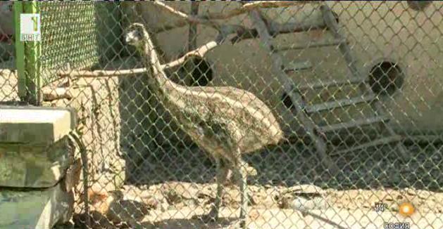 Нови попълнения в зоологически градина в Стара Загора