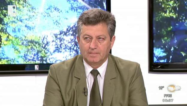 Инж. Тони Кръстев: Горите в България се увеличават, подобрява се и качеството им