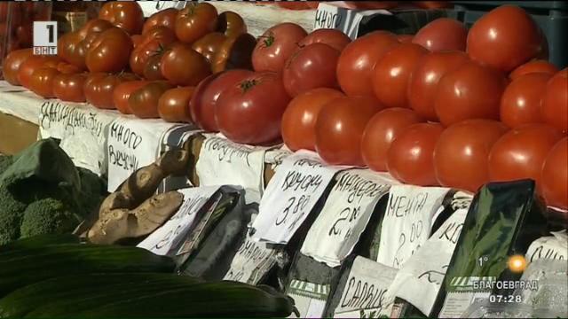 Реални ли са цените на доматите на пазара?