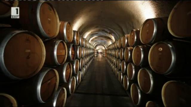 Хора и улици: Най-старата винарна в София