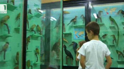 Деца в Природонаучния музей