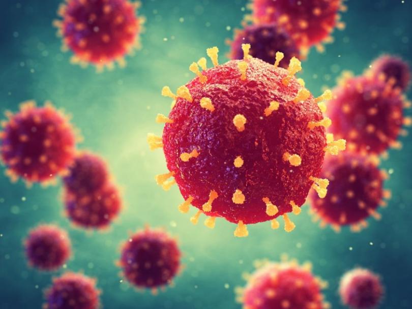 Coronavirus in Bulgaria: 211 new cases confirmed, total is at 7175