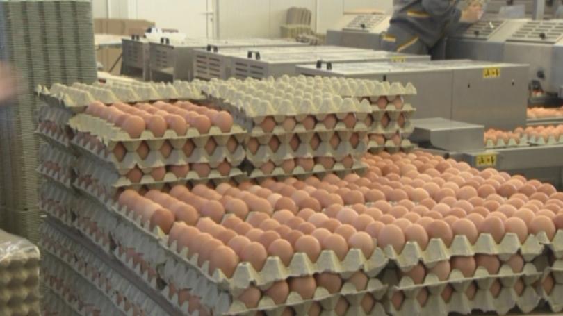 bulgarian food safety agency finds 2nd shipment egg yolk powder fipronil