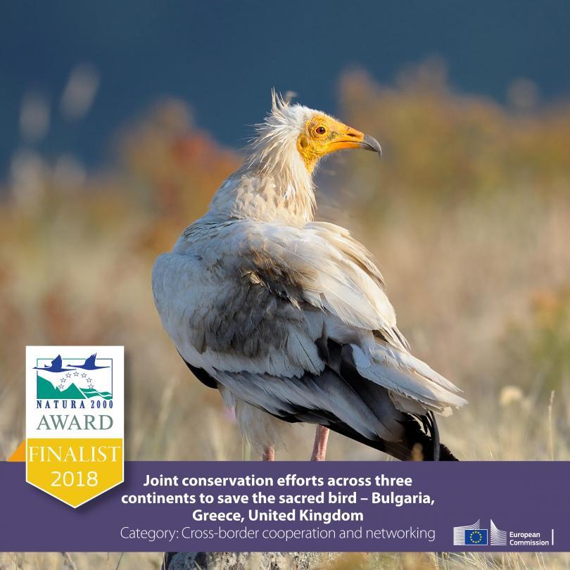 Bulgarian Project Wins Prestigious Award of European Natura 2000