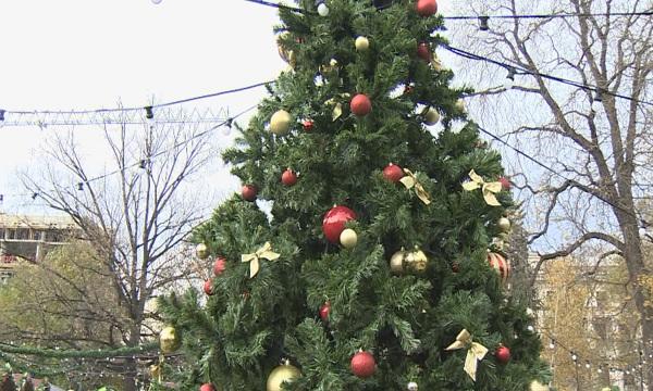 sofia lights christmas tree