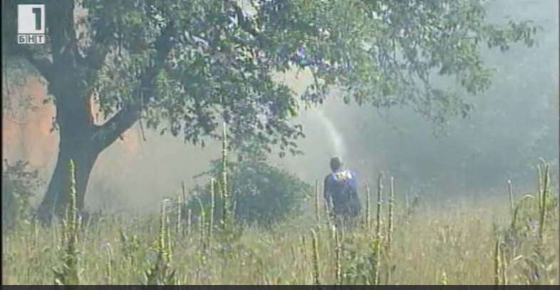 wildfire burnt decares dry grass bushes fruit trees near blagoevgrad