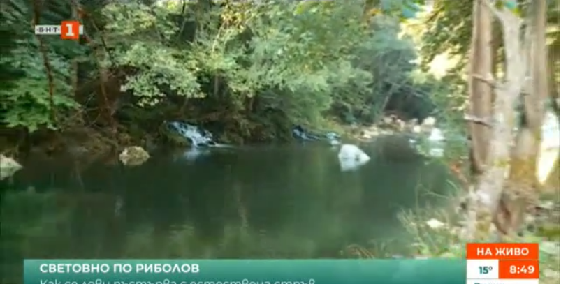World Trout Fishing Championship opens today in Bulgaria’s Devin