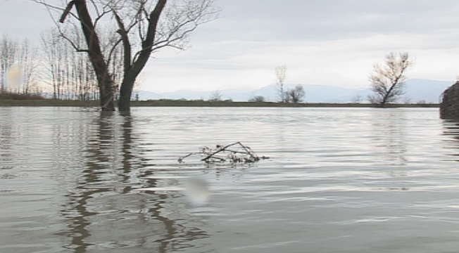 damages summer floods cost nearly 400 million euro