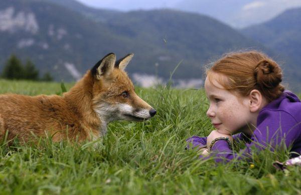 Лисицата и детето