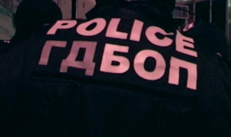 Ten Bulgarians detained for paedophilia