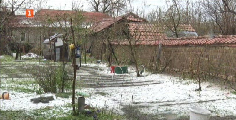 farmers balgarene compensated crop damages hail stom