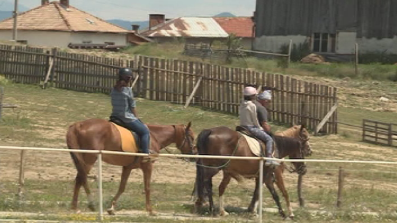 horse riding tourism bulgaria becomes increasingly popular