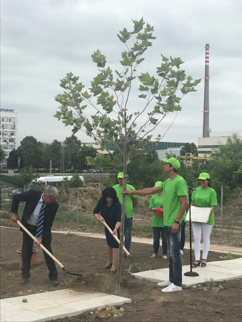 three international companies want invest belene nuclear power plant