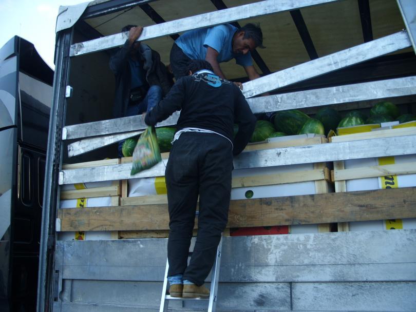 Illegal migrants found in a lorry with watermelons at Kulata border crossing