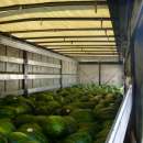 снимка 1 Illegal migrants found in a lorry with watermelons at Kulata border crossing